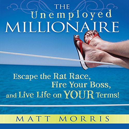 The unemployed Millionaire book cover