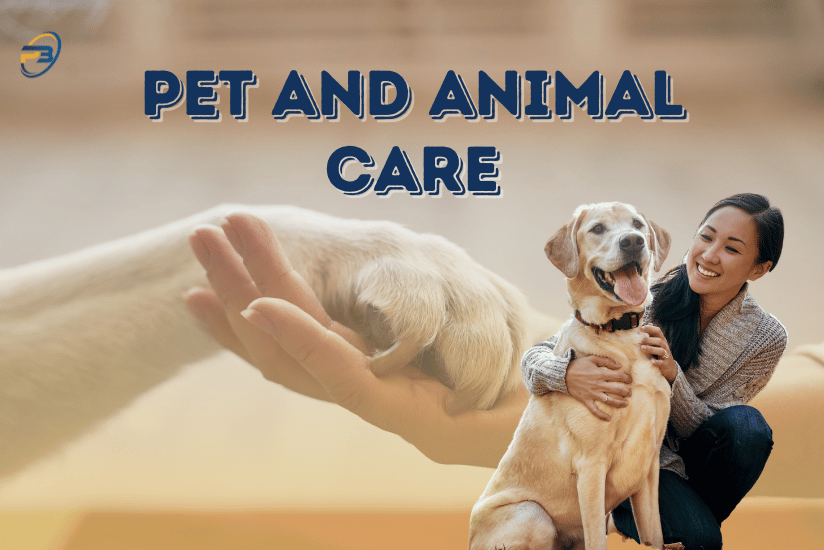 pet and animal care